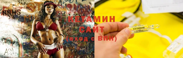 шишки Корсаков