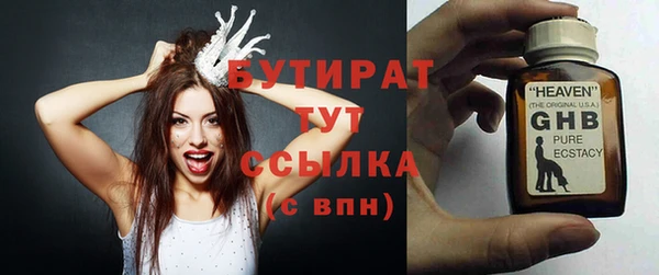 шишки Корсаков