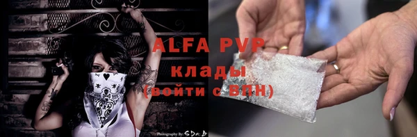 шишки Корсаков