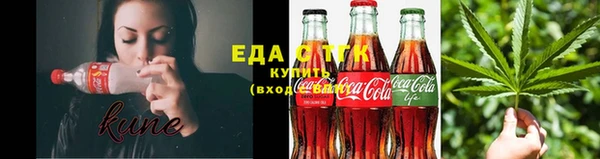 шишки Корсаков