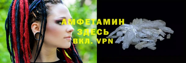 шишки Корсаков