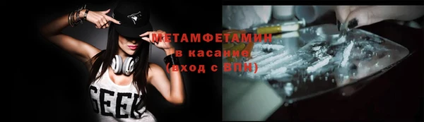 шишки Корсаков