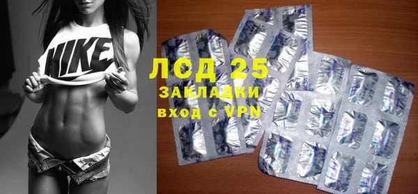 шишки Корсаков